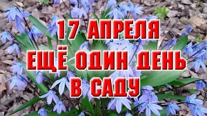 17 апреля. Еще один день в трудах