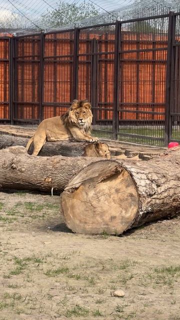 О,вот так хорошо