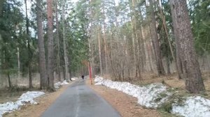 Прогулка на ТРОПЕ ЗДОРОВЬЯ.