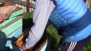 Расширение гнезда установка разделительной решетки для 2 рамок закрытого расплода для отводков