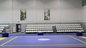 «МОСКОВСКИЕ ЗВЕЗДЫ УШУ 2026»