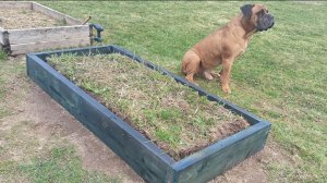 Все сгнило! Новые грядки и новые надежды!