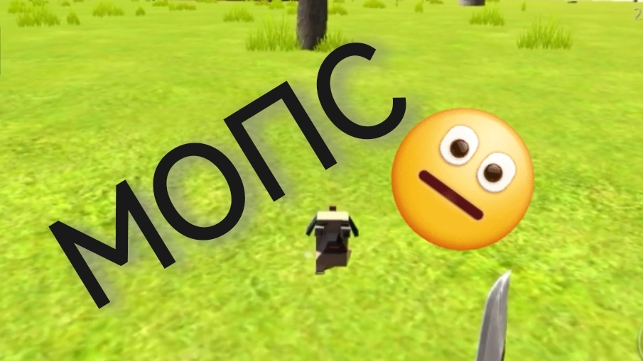 Завела пиксельного мопса в Оушеан из Хоум #OceanIsHome