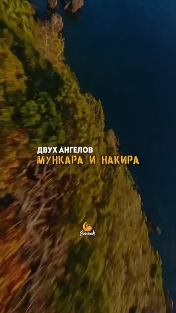 🕌Смута Даджала. Часть-1 #хадис #даджаль #коран #сура #аят