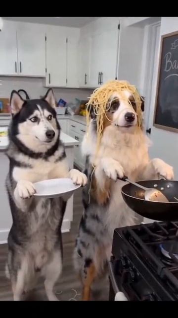 The Chef Messed Up Today😫