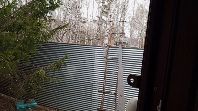 утро с дождём