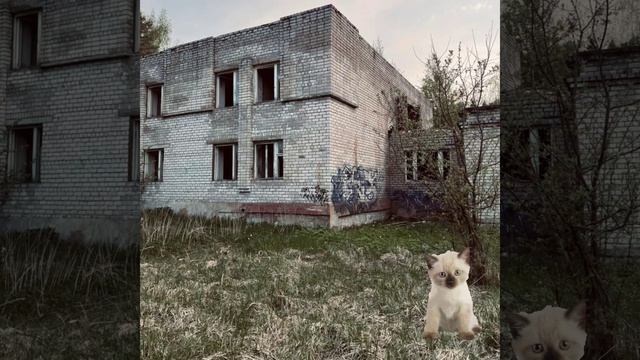 я потеряла анимку текста🥰🤩 3 часть вам и я спать;_³