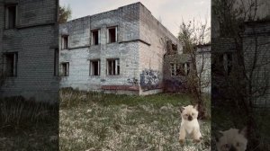 я потеряла анимку текста🥰🤩 3 часть вам и я спать;_³