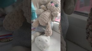 🌿 обычный день с лаки доги 🐶