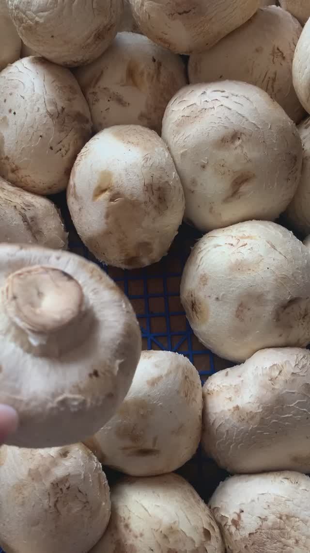 Грибы фаршированные #рецептсгрибами #шампиньонырецепт