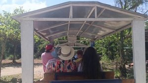 Эко-парк Янг Бэй во Вьетнаме