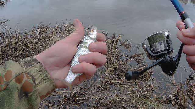 РЫБАЛКА на ПОПЛАВОК (БОЛОНКУ) в апреле 2026, ОТКРЫТИЕ СЕЗОНА!!!