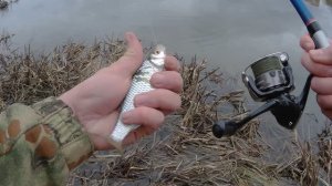 РЫБАЛКА на ПОПЛАВОК (БОЛОНКУ) в апреле 2026, ОТКРЫТИЕ СЕЗОНА!!!