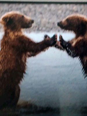 призываем монстра Чарли очень страшно