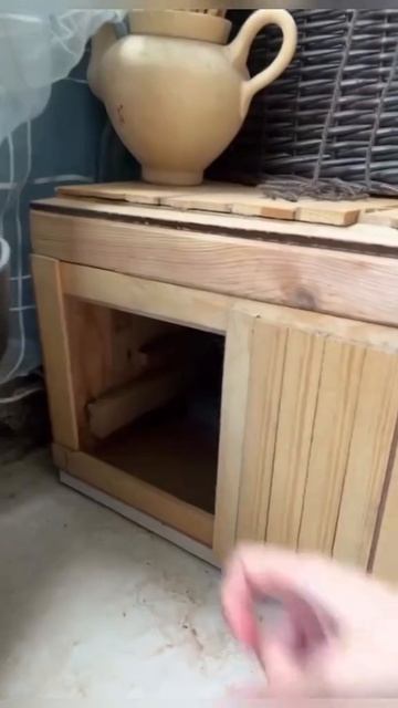 Коты в странных местах