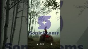 Сергей Есенин — Я одену тебя побирушкой (вар1)