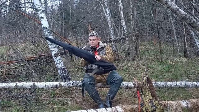 Весенняя охота на вальдшнепа в московской области 2026г. / 2