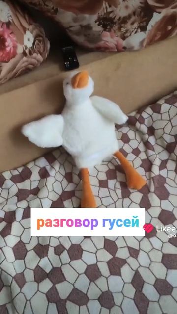 Like_2026-04-19-17-21-50.mp4