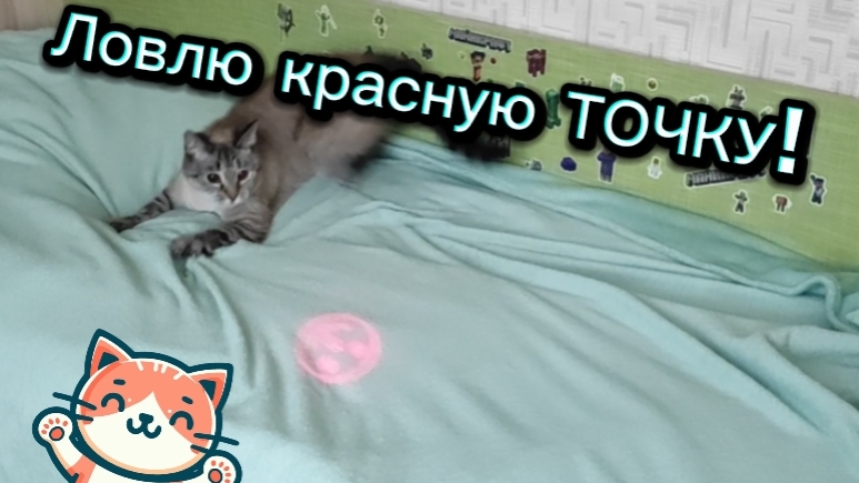😼🐾😄Аксель в погоне за неуловимой точкой😸😽🔥