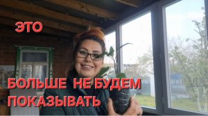 1184 Показали а теперь пожалели. Учимся у блогеров.Продолжаем убирать.