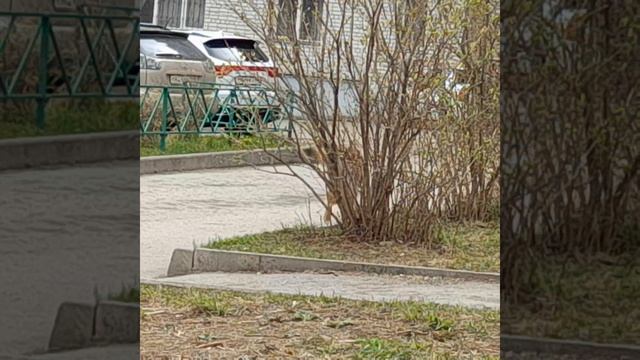 📅-19-Апрель-2026-🍄-Год

⌚️-12:45

📹-HD-mp4

📱-Samsung Galaxy M12