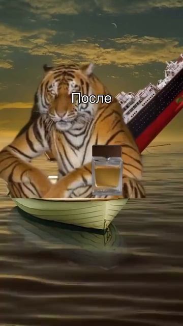 Видео от Департамент Кринжовых Видосов | ДКВ