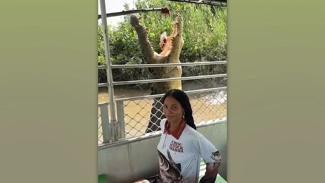 115 Удачливых Людей, Снятых на Камеру