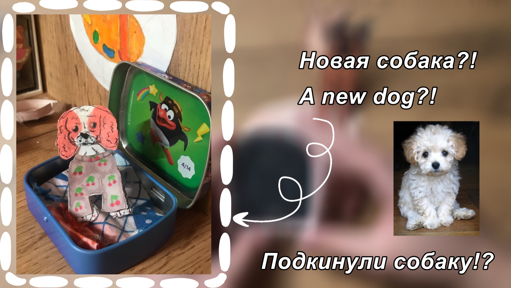 Новая собака?!| распаковка собачки 🐶