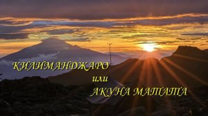 КИЛИМАНДЖАРО или АКУНА МАТАТА