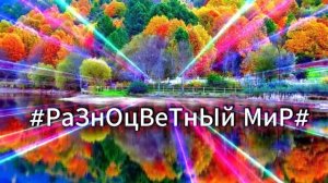 Разноцветный мир