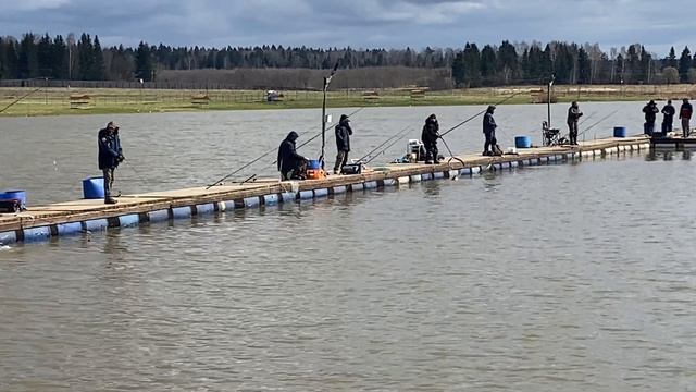 Ловля форели - 19.04