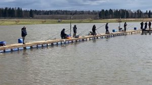 Ловля форели - 19.04