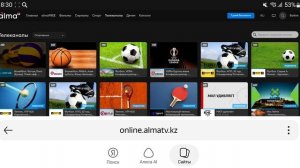 Спортивные телеканалы онлайн-кинотеатров Казахстана