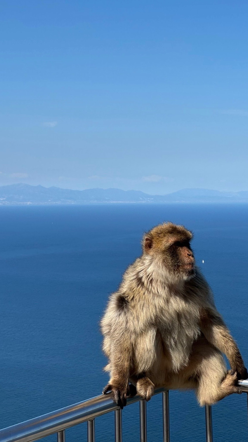 🐒Гибралтар смотровая площадка🙉