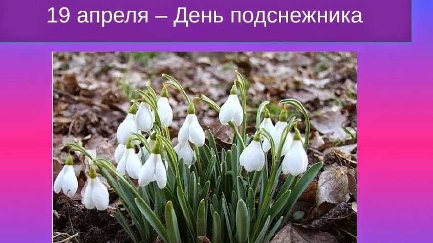19.04.26 - День подснежника