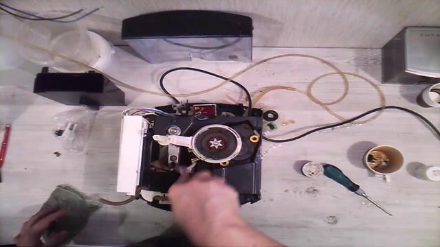 19,04,2026 крупс ч.2