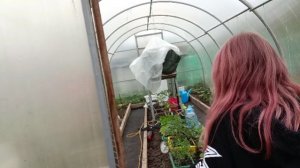 Привезли перегной. Дрова, сучки, ветки. Курица снова бросила яйца.