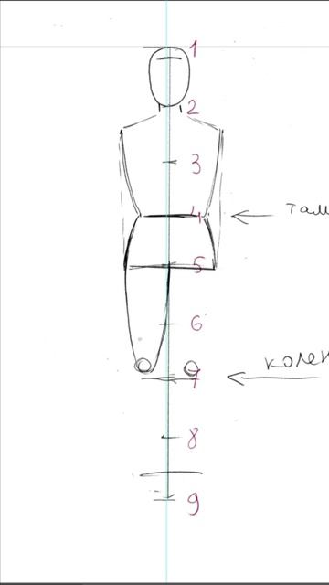 Рисунок человека, пропорции.