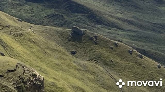 Баранаха гора счастья.