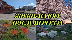 ЖИЗНЬ НА ЮГЕ ПОСЛЕ ПЕРЕЕЗДА, ОТПРАВЛЯЮ ПОСЫЛКИ, ВСЁ ЦВЕТЁТ , ДЕЛАЕМ ПЛИТКУ