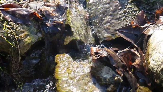 012▪️Весенний ручей▪️Футажи ▪️Красивая природа