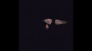 на джаве это тоже работает