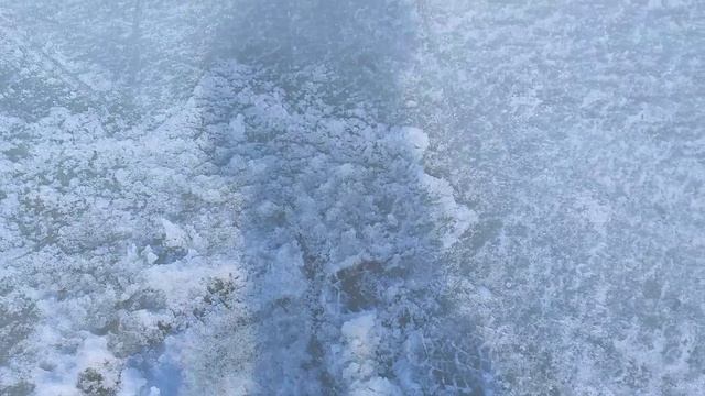 Рыбалка на Зеленке