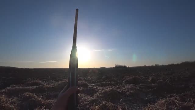 ОХОТА НА ГУСЯ, НАРЕЗКА НАЛЁТОВ