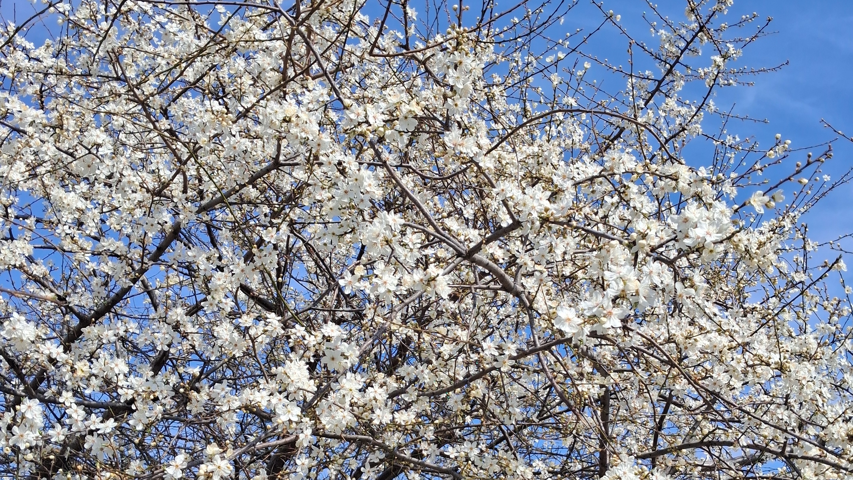 Рак ♋️Прогноз на Май 2026