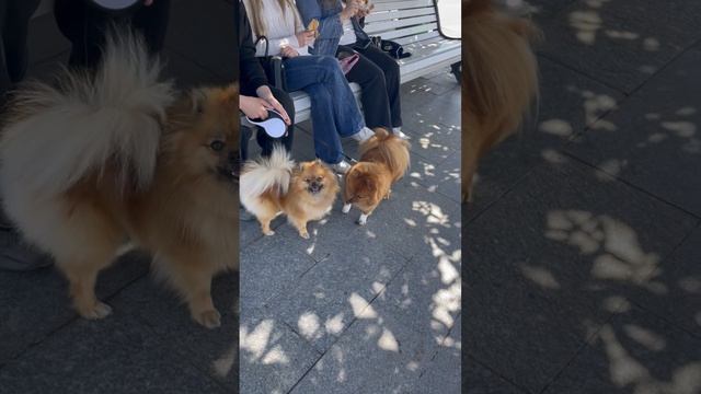 Мирочка на набережной 💖💖💖