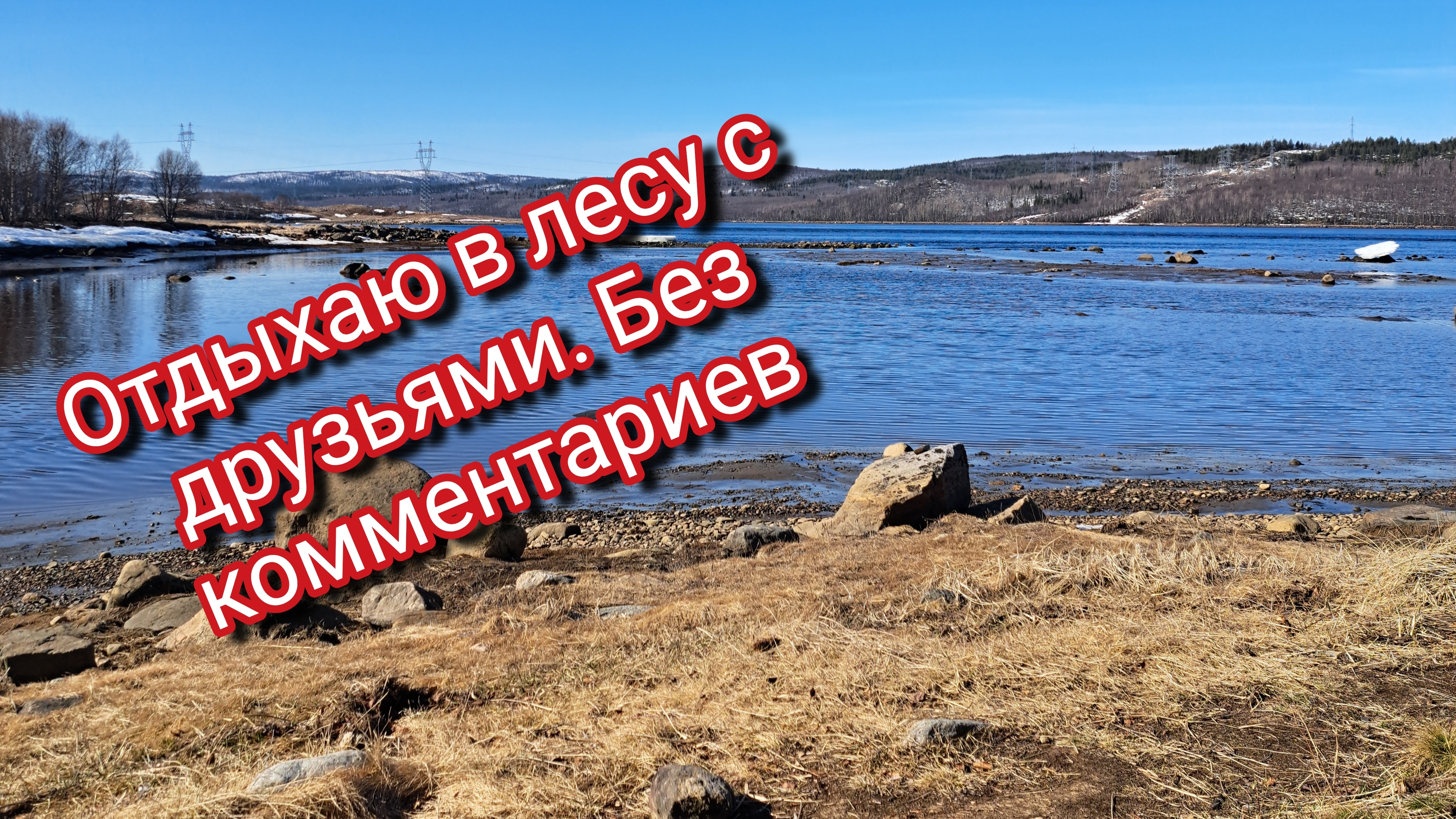 Отдыхаю в лесу с друзьями.Без комментариев