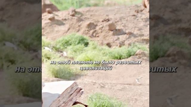 хороший фильм на вечер