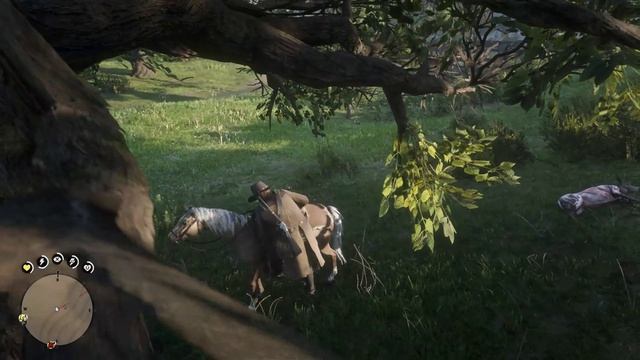 Red Dead Redemption 2 часть 4