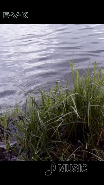 🌲 «Мой Мир» Авторская работа /Энергия  в кадре /Виктория Кацаран